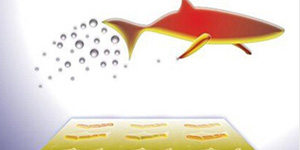 美媒：微型機器人可檢測毒素并傳送藥物