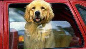 基于電流紋波的電動車窗位置的準確性判斷方法探討