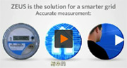 Zeus智能電網SoC